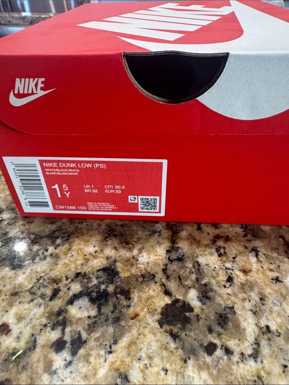 Kids black and white Nike dunks